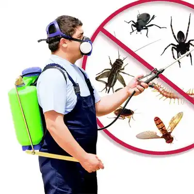 pest control Weldon Spring